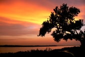 IIP Online Student Photography